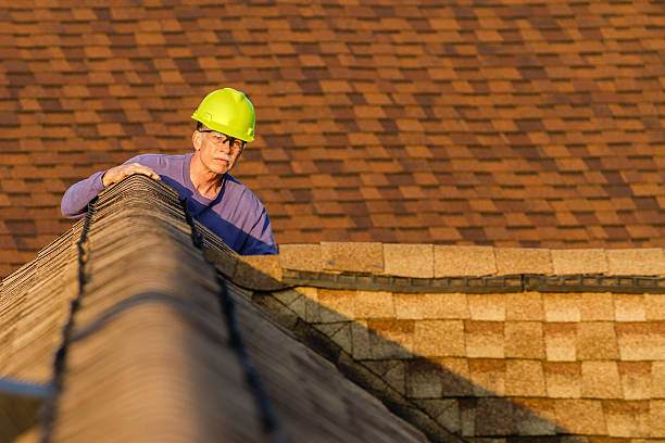 Best Roof Gutter Cleaning  in El Macero, CA